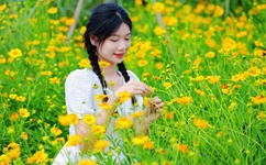 青青河边草免费视频观看6